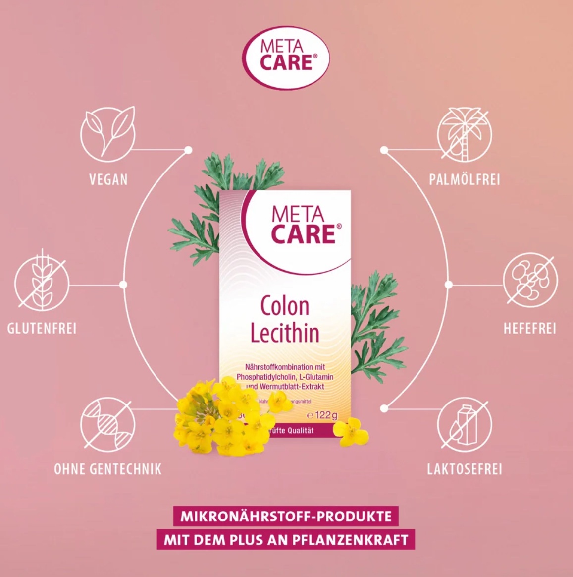 Colon Lecithin 180 Kps. – Bild 2