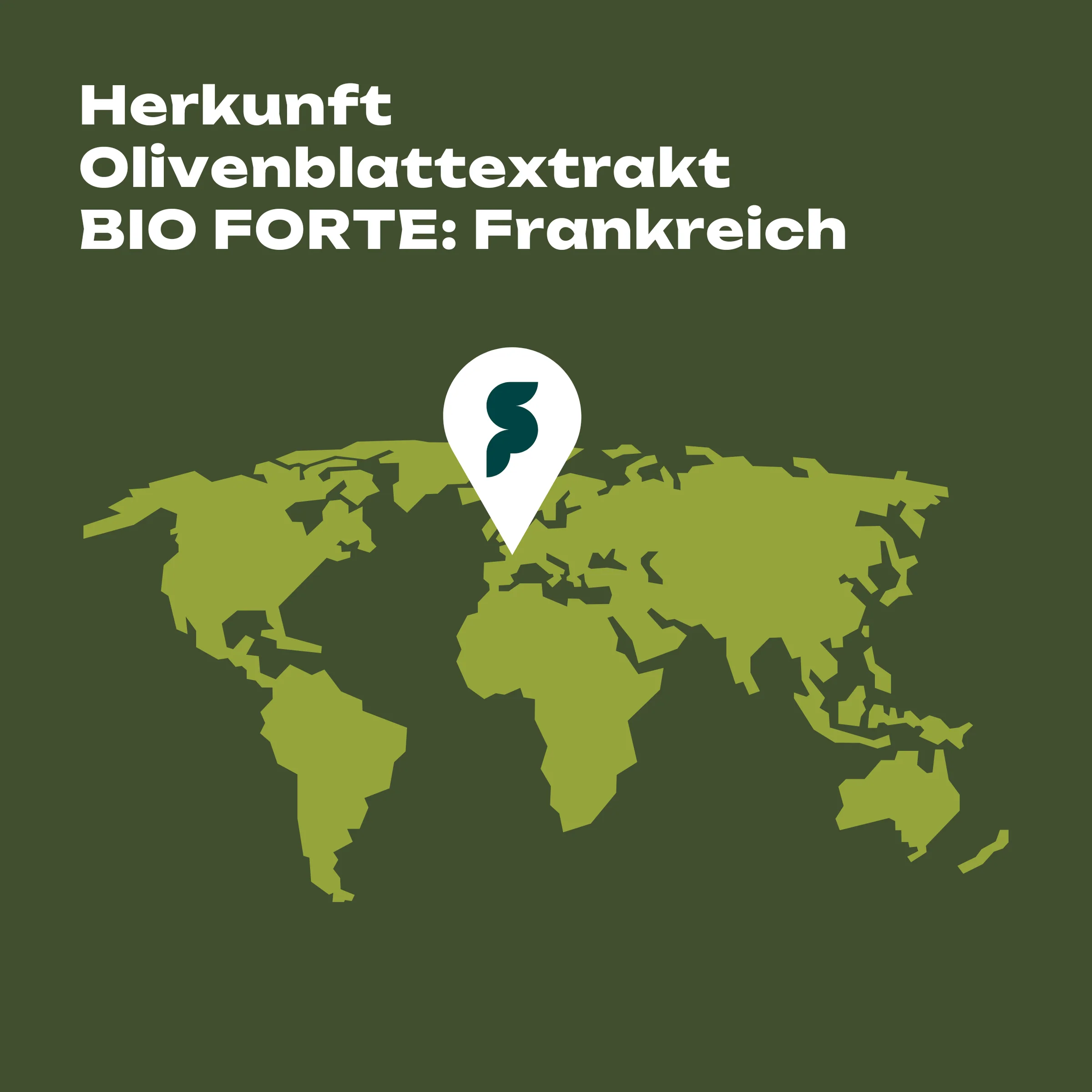 Olivenblattextrakt BIO FORTE 50ml – Bild 4